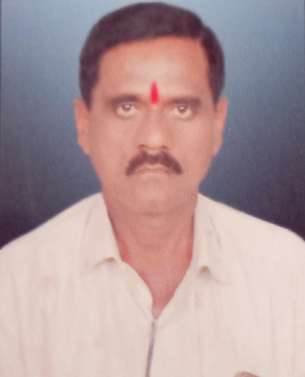 Org Officer Photo